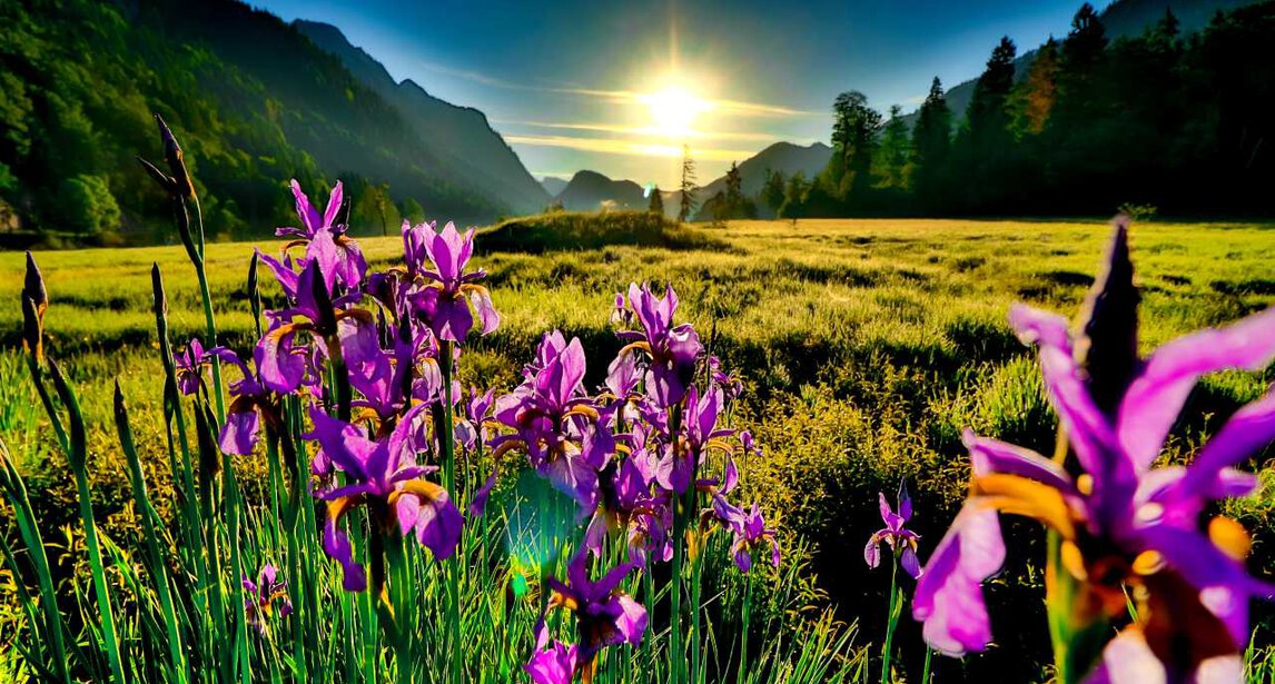 3-Seen-Gebiet Ruhpolding | © shutterstock - WalterWeiss Iris im Sonnenaufgang - Ruhpolding - Chiemgau | © shutterstock - WalterWeiss