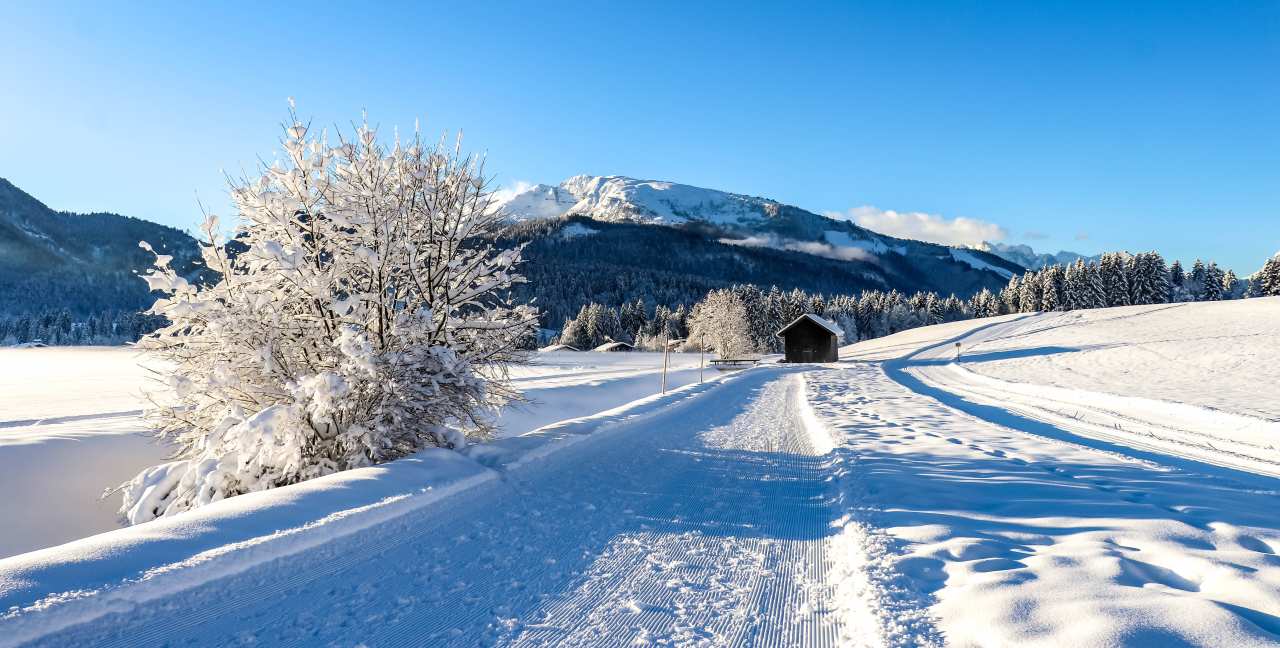 Langlaufloipe im Chiemgau  | © shutterstock - WalterWeiss