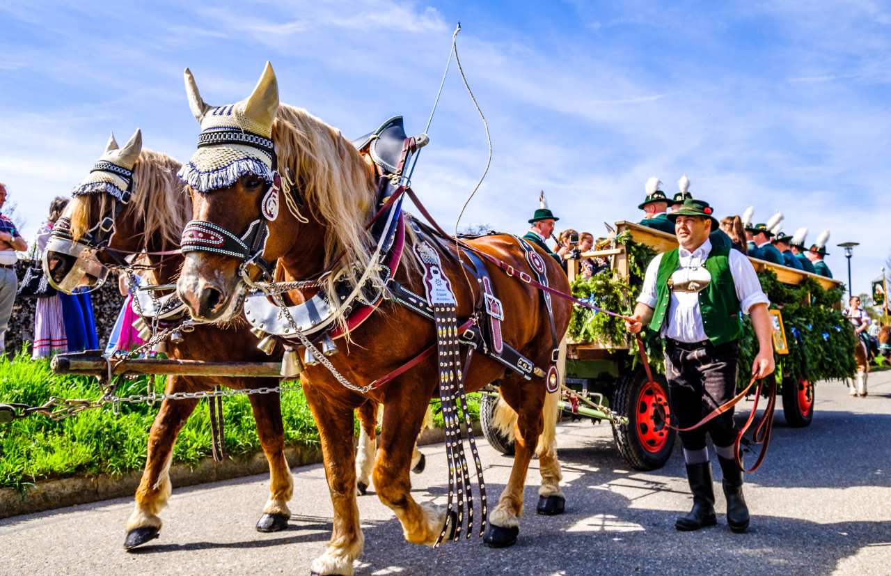 Georgi-Ritt in Traunstein, Chiemgau | © shutterstock - FooTToo