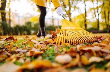 So schön das Herbstlaub ist: Wege und Einfahrten sollten sicher begehbar bleiben.  | © shutterstock - maxbelchenko