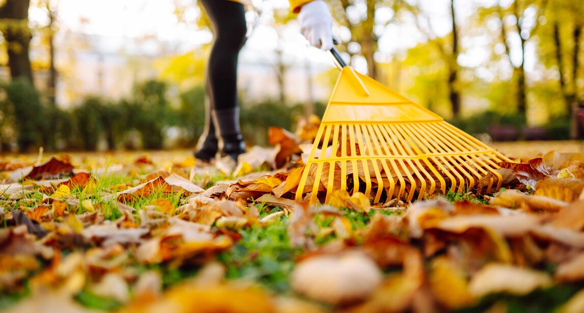 Herbstlaub und Verkehrssicherungspflicht | © shutterstock - maxbelchenko So schön das Herbstlaub ist: Wege und Einfahrten sollten sicher begehbar bleiben.  | © shutterstock - maxbelchenko
