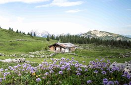  frühling, alpen, alpenvorland, natur, berg gehen, in den bergen, chiemgau, chiemgauer alpen, hochfelln, rauschberg, kampenwand, hausbauhaus, immobilien | © Chiemgau Tourismus