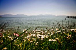  frühling, alpen, alpenvorland, natur, berg gehen, in den bergen, chiemgau, chiemgauer alpen, hochfelln, rauschberg, kampenwand, hausbauhaus, immobilien | © Chiemgau Tourismus