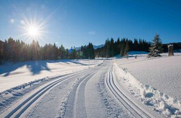traunstein, landkreis traunstein, hausbauhaus, immobilien, chiemgau, chiemsee, langlaufen, winter | © Chiemgau Tourismus