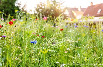 Grundstück mit Altbestand, Grundstück kaufen, Lappersdorf - shutterstock_1655371492 Miriam Doerr Martin Frommherz | © HauBauHaus GmbH