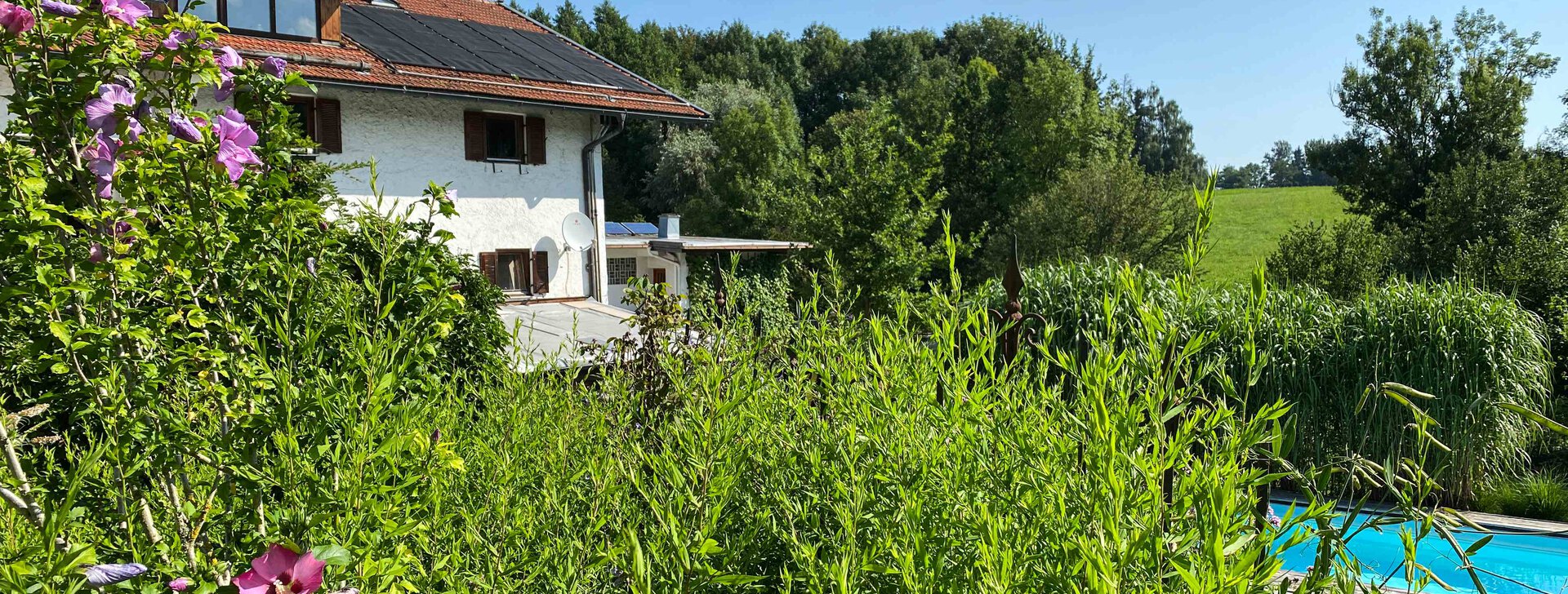 Außenansicht mit Garten, Anwesen mit Gewerbehalle, Immobilie kaufen, Kirchanschöring  | © HausBauHaus GmbH 