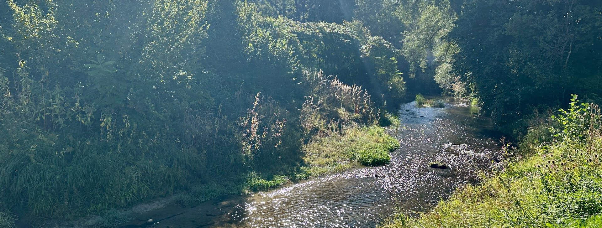 Anwesen mit Gewerbehalle, Immobilie kaufen, Kirchanschöring  | © HausBauHaus GmbH 