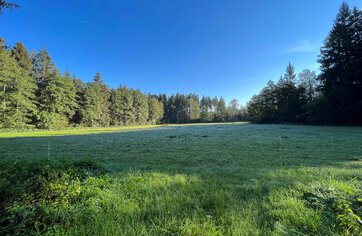 Waldgrundstück, Grundstück kaufen, Kirchanschöring  | © HausBauHaus GmbH 