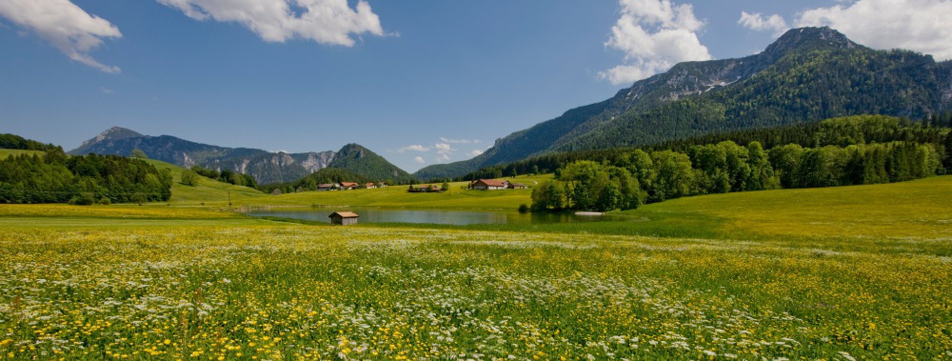 ruhpolding, grundstueck, hausbau, haus bauen, traumhaus, hausbauhaus, immobilien, chiemgau | © HausBauHaus GmbH