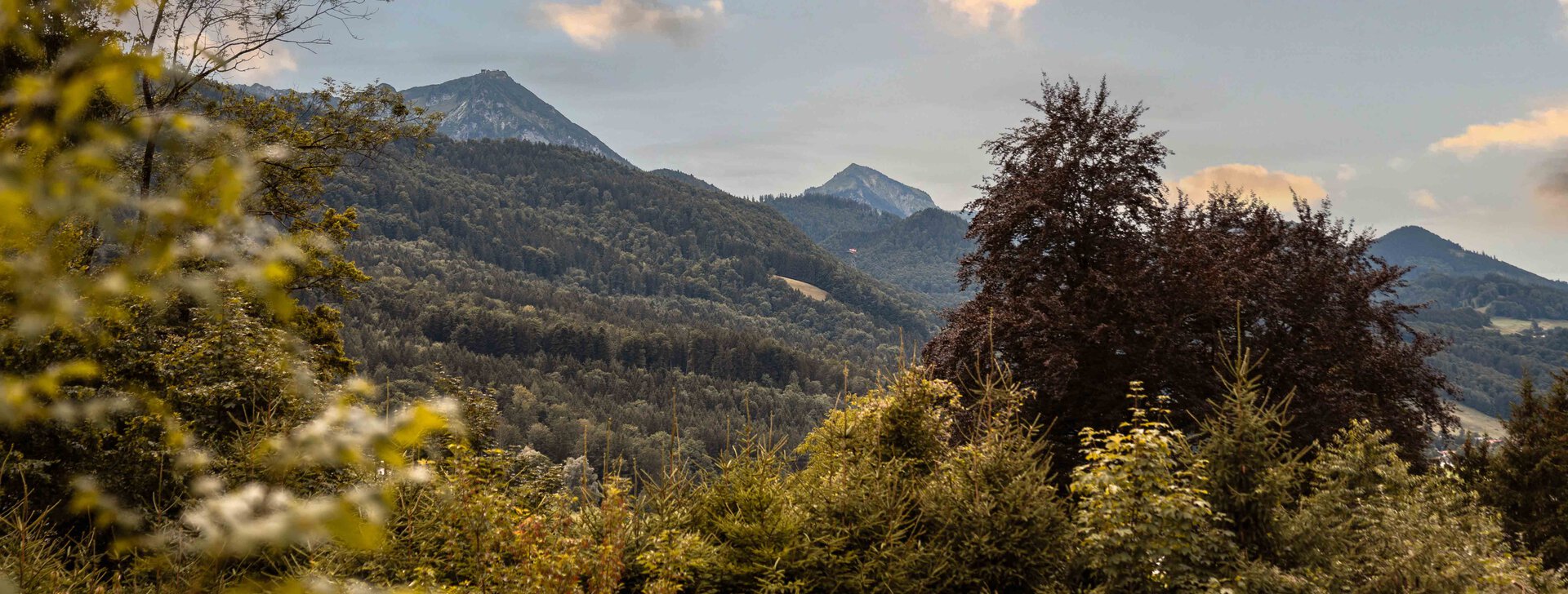 anwesen, bergblick, alpen, panorama, chiemgau, hausbauhaus, immobilien | © HausBauHaus GmbH