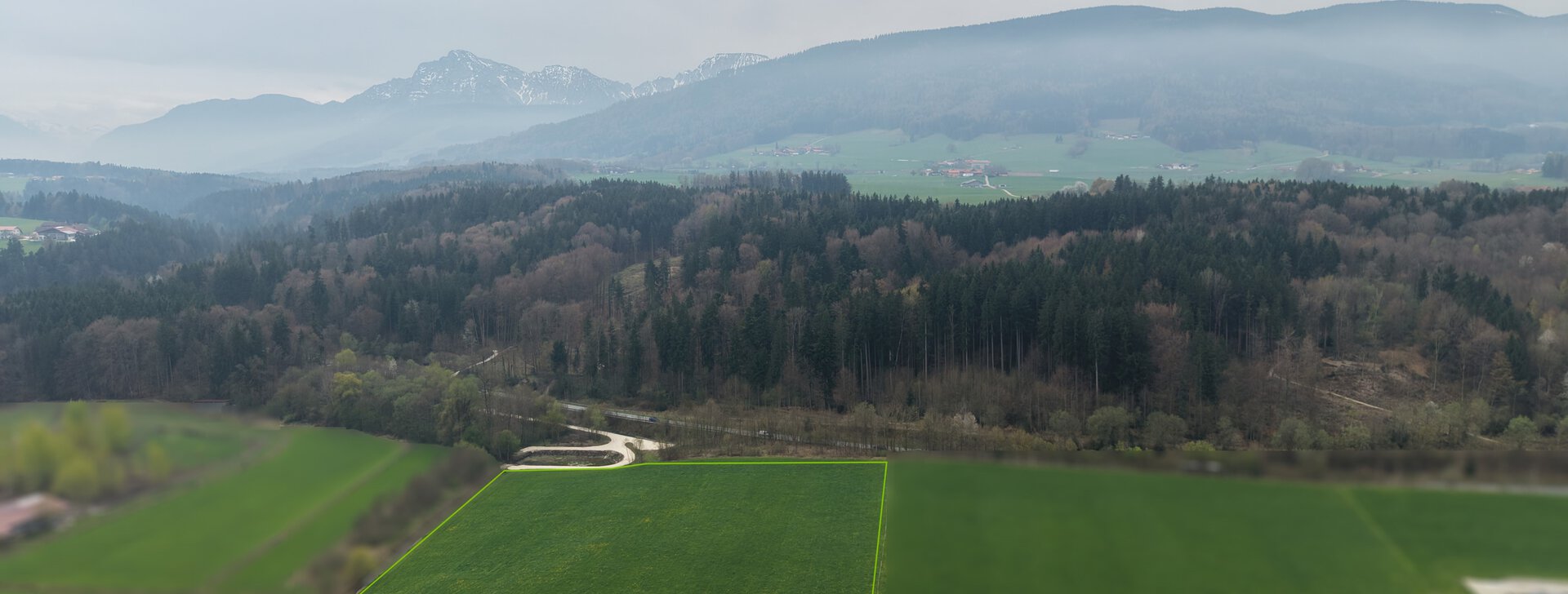 Wiese, Grundstück kaufen, Teisendorf, Rupertiwinkel  | © HausBauHaus GmbH 