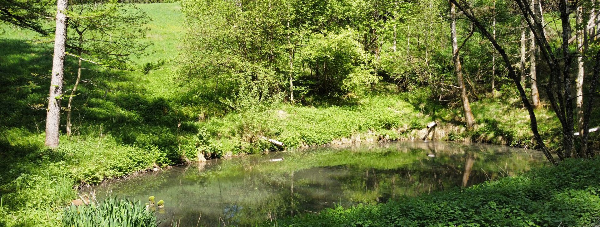 Weiher historisches Anwesen in Teisendorf, Immobilie kaufen, Teisendorf | © HausBauHaus GmbH